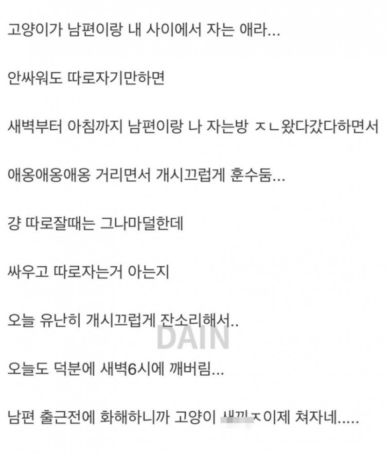 파워볼게임분석기