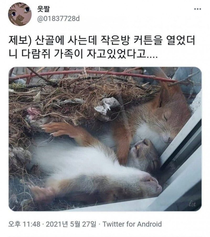 나눔로또