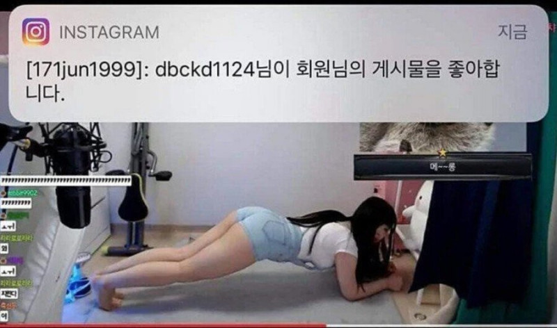 다리다리필승