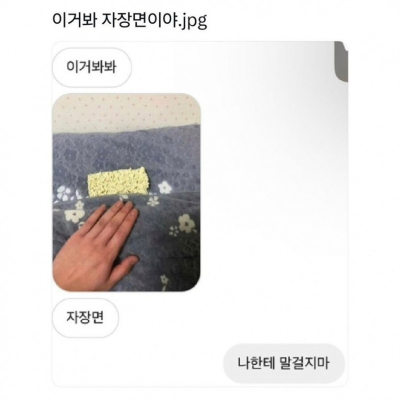 달팽이 분석과 실시간패턴통계