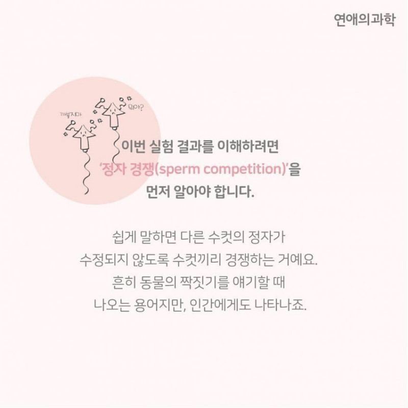 파워볼게임픽분석