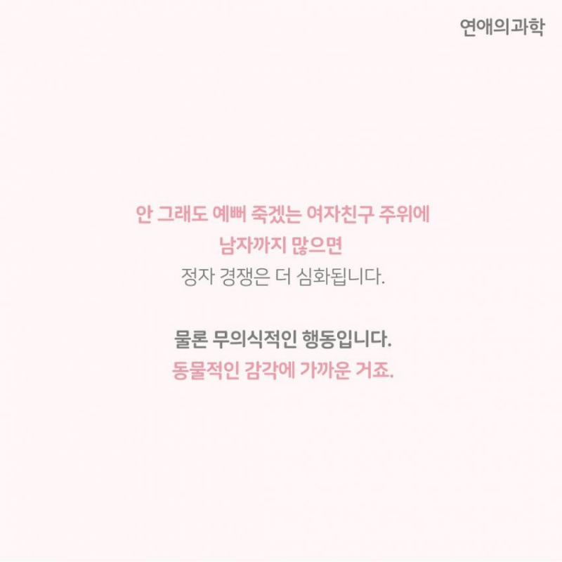 나눔로또 파워볼분석기