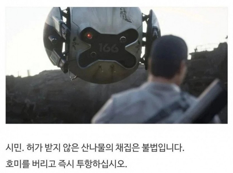 달팽이게임픽분석