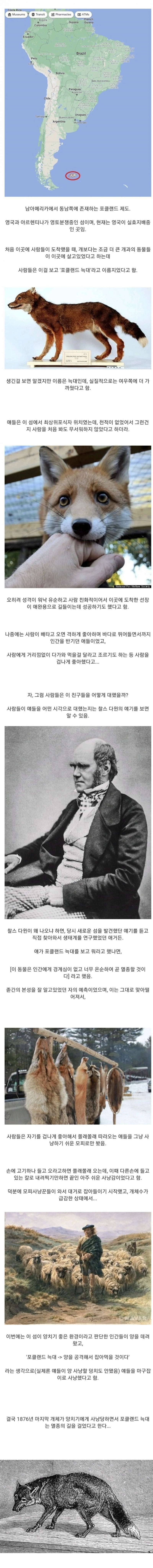 사다리게임분석기