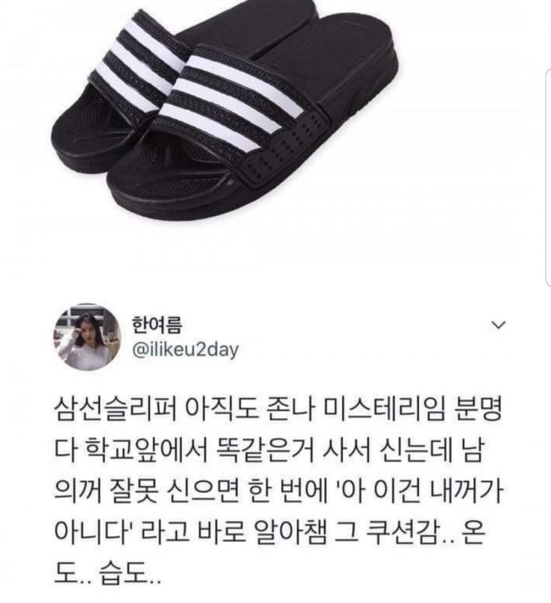 달팽이게임분석