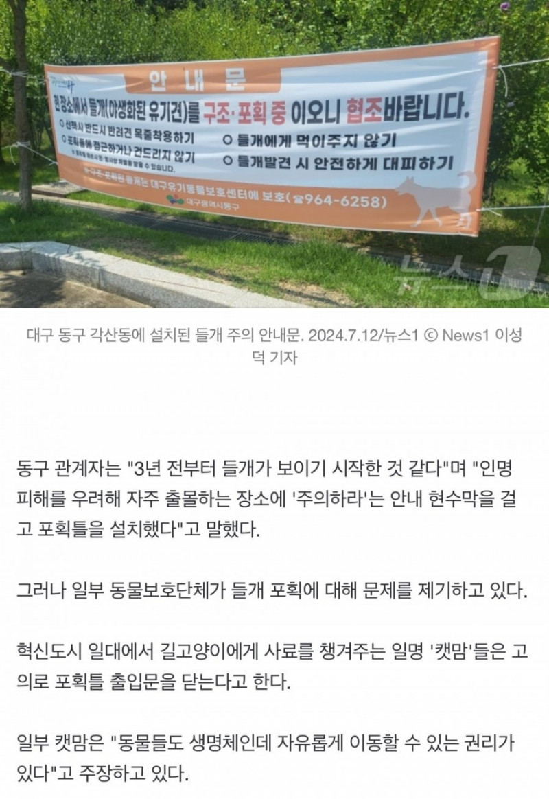 성인게임