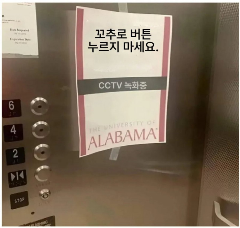 나눔로또 파워볼분석기