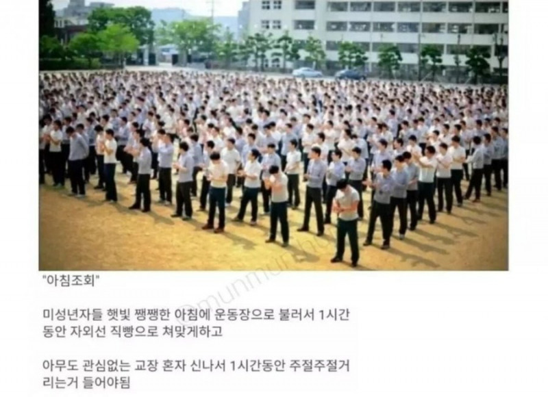 나눔로또 파워볼분석기