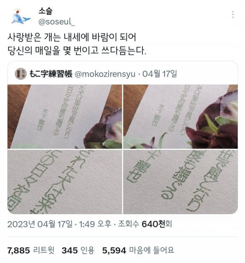 파워볼 분석과 실시간패턴통계