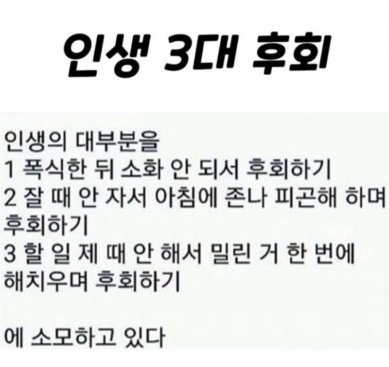 달팽이게임통계