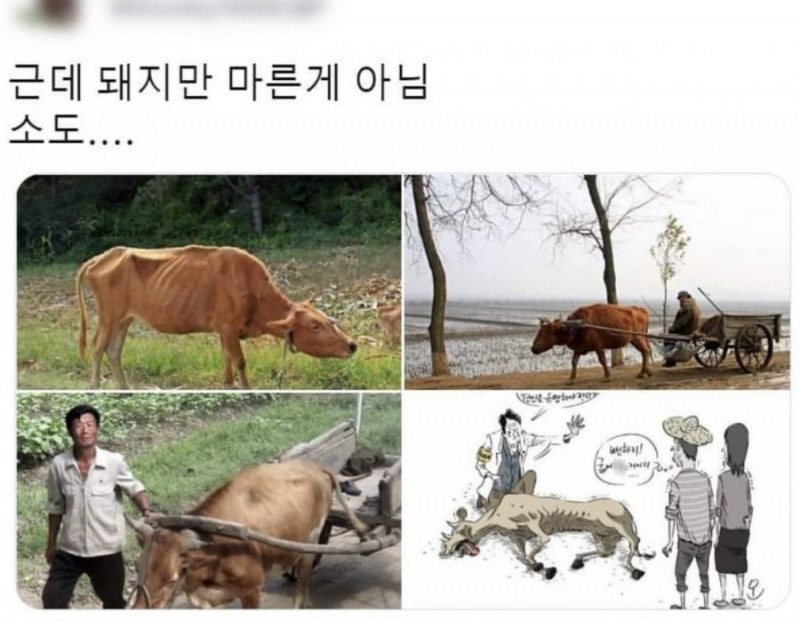 성인게임