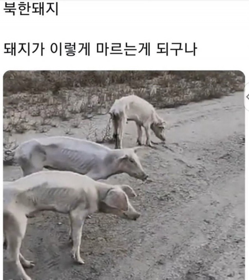 실시간게임