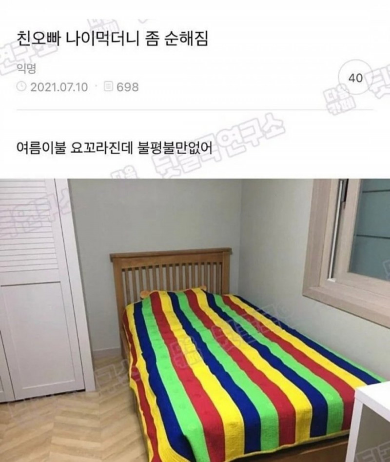 달팽이게임픽분석