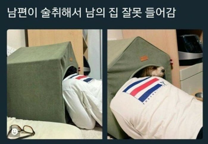 달팽이게임분석기