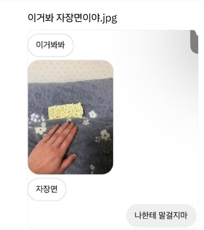 달팽이게임통계