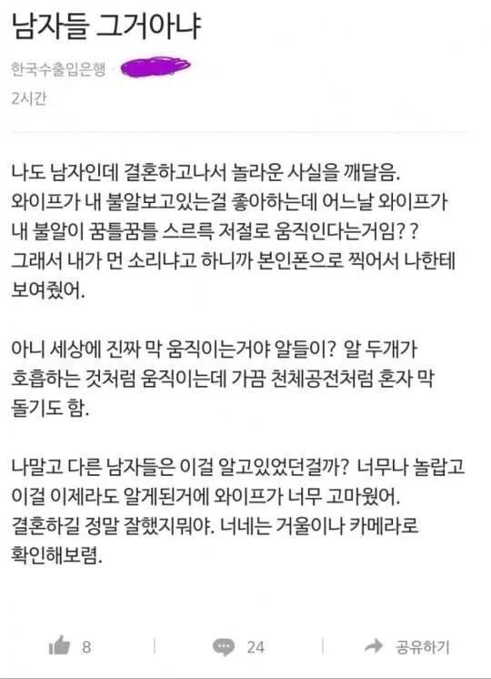 파워볼 분석과 실시간패턴통계