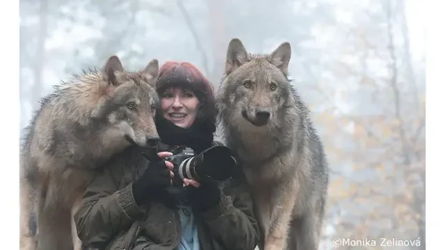 사다리게임통계