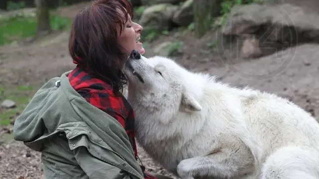 사다리게임통계