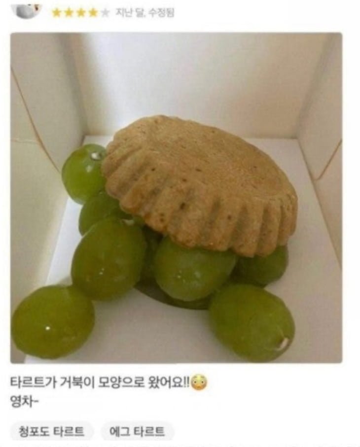 달팽이게임픽게임