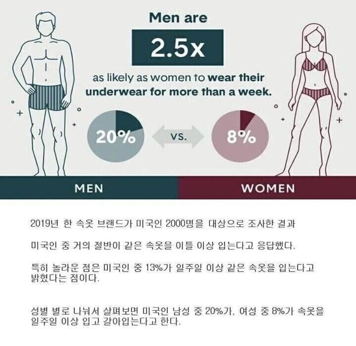 달팽이게임통계