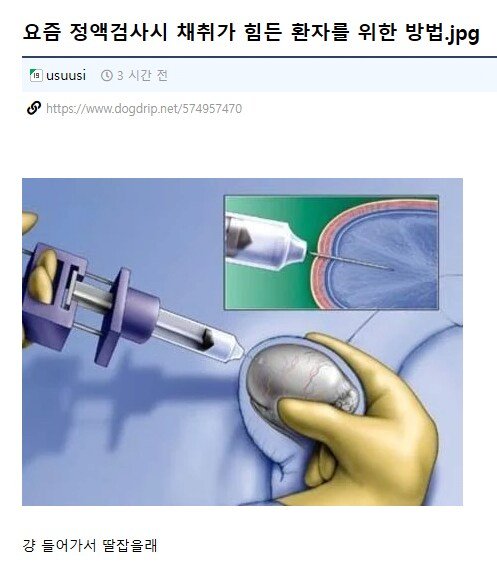 달팽이게임픽분석