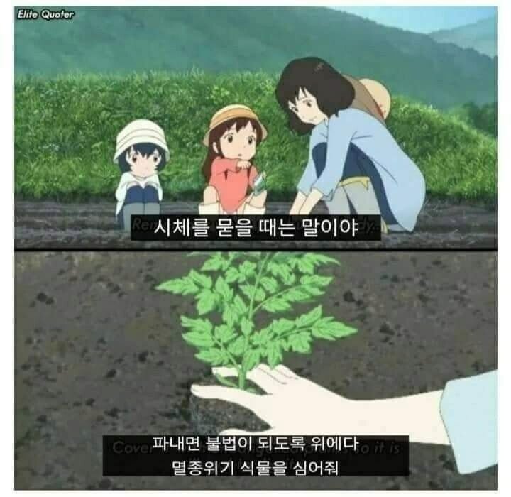 파워볼게임픽분석