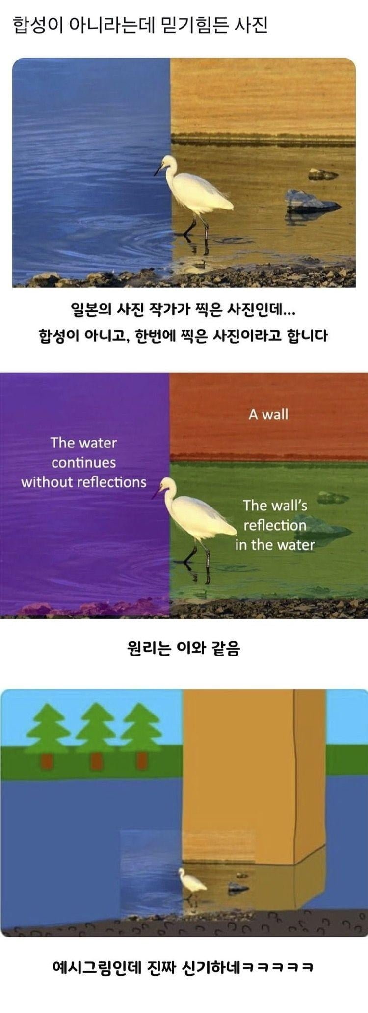 파워볼게임픽