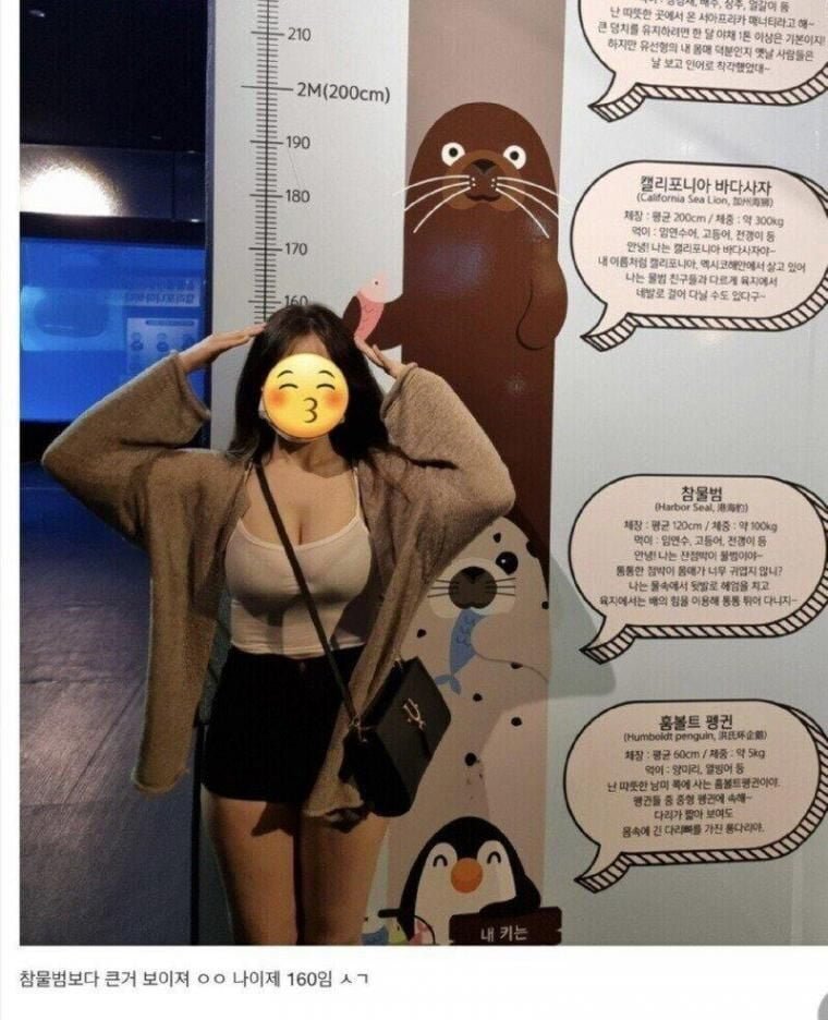 달팽이 분석과 실시간패턴통계