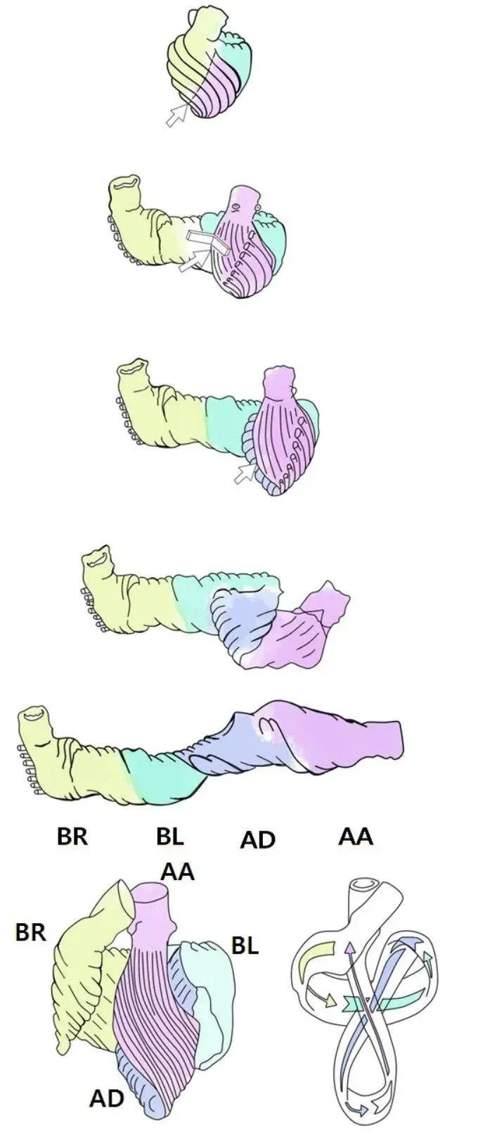 파워볼게임픽분석