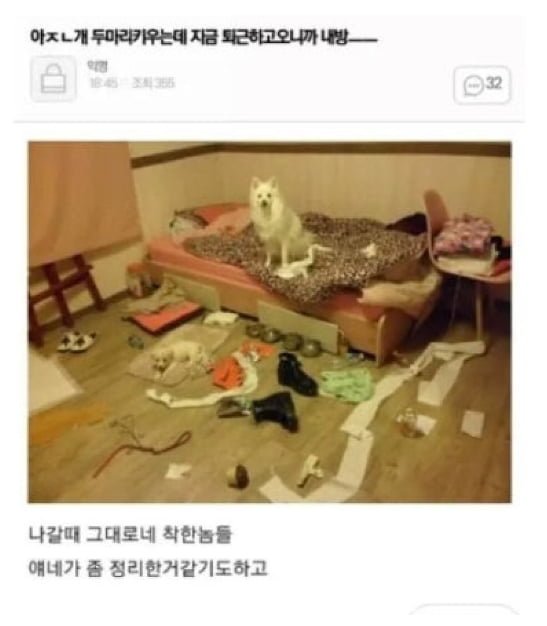 달팽이게임통계