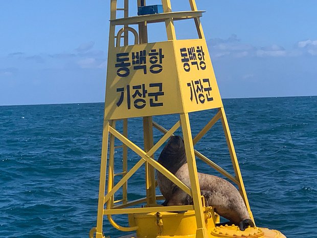 다리다리게임통계