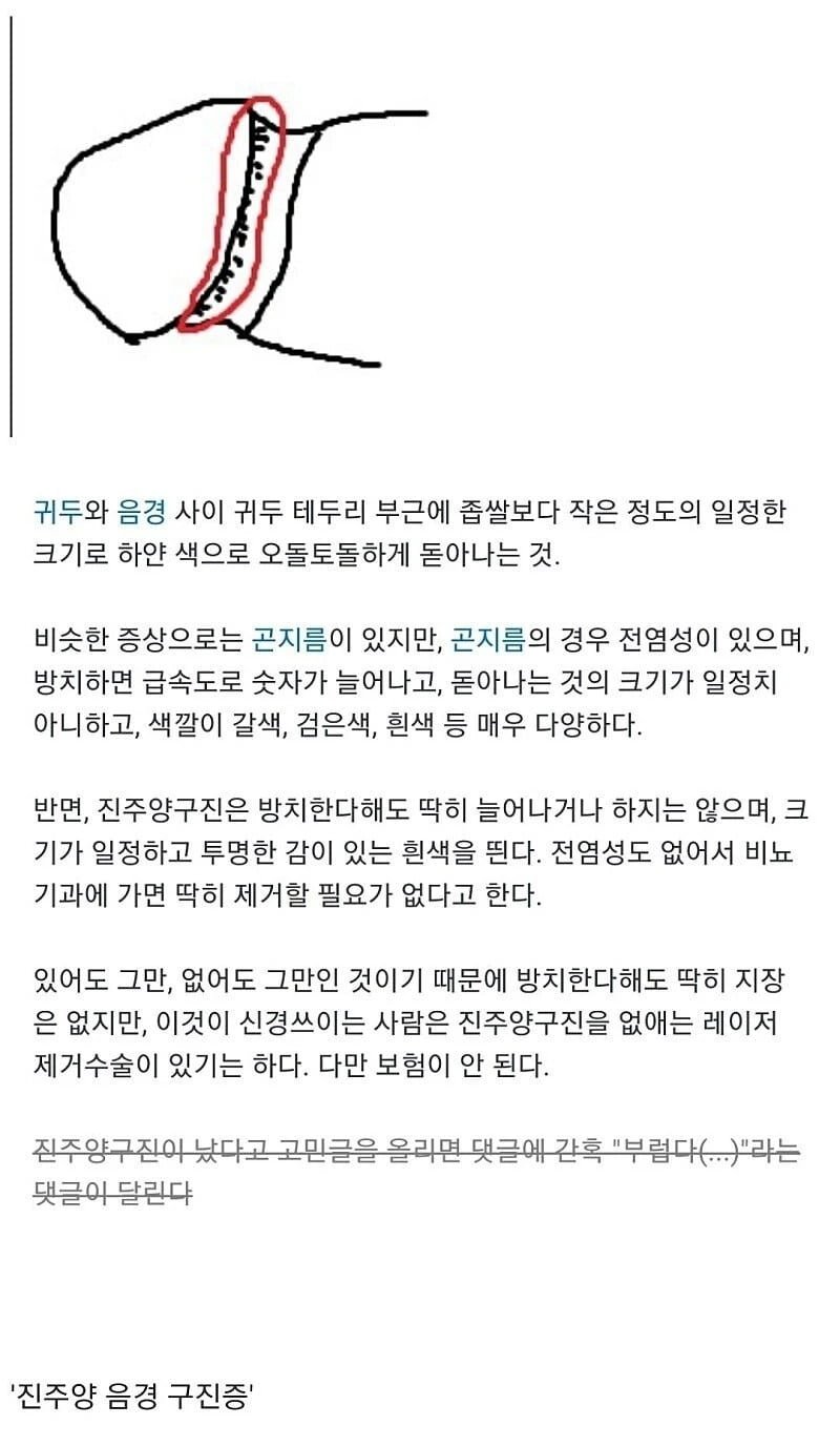 나눔로또