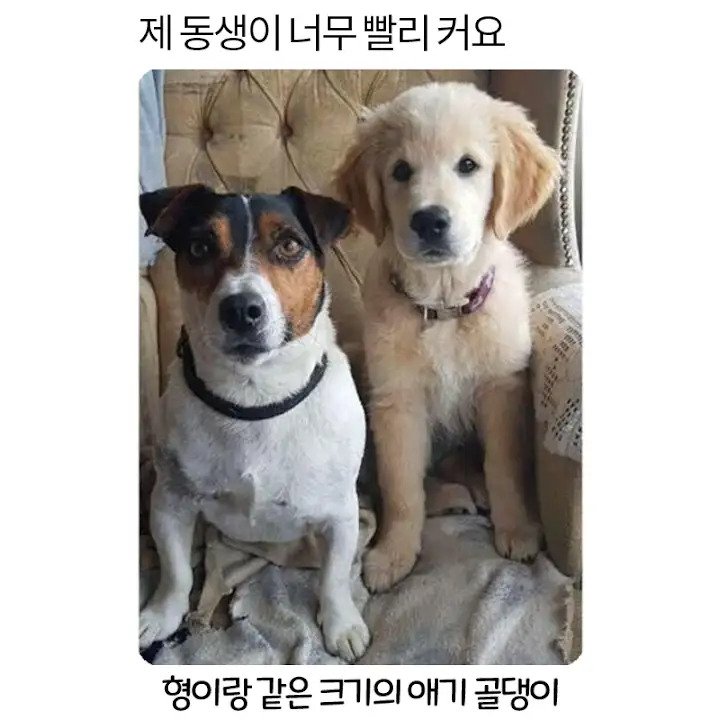 파워볼게임픽분석