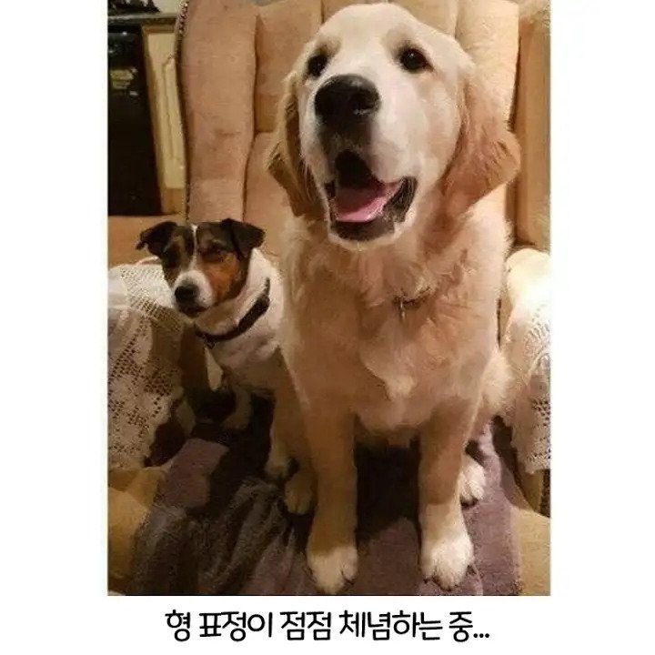 파워볼게임픽게임