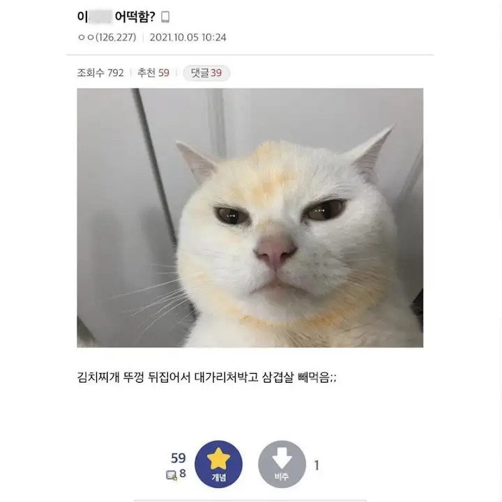 달팽이 분석과 실시간패턴통계