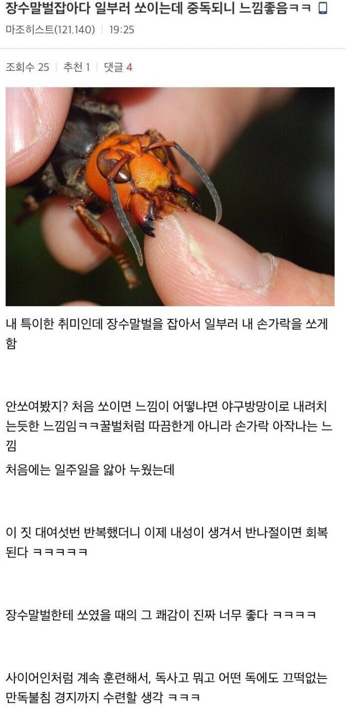 달팽이게임픽분석