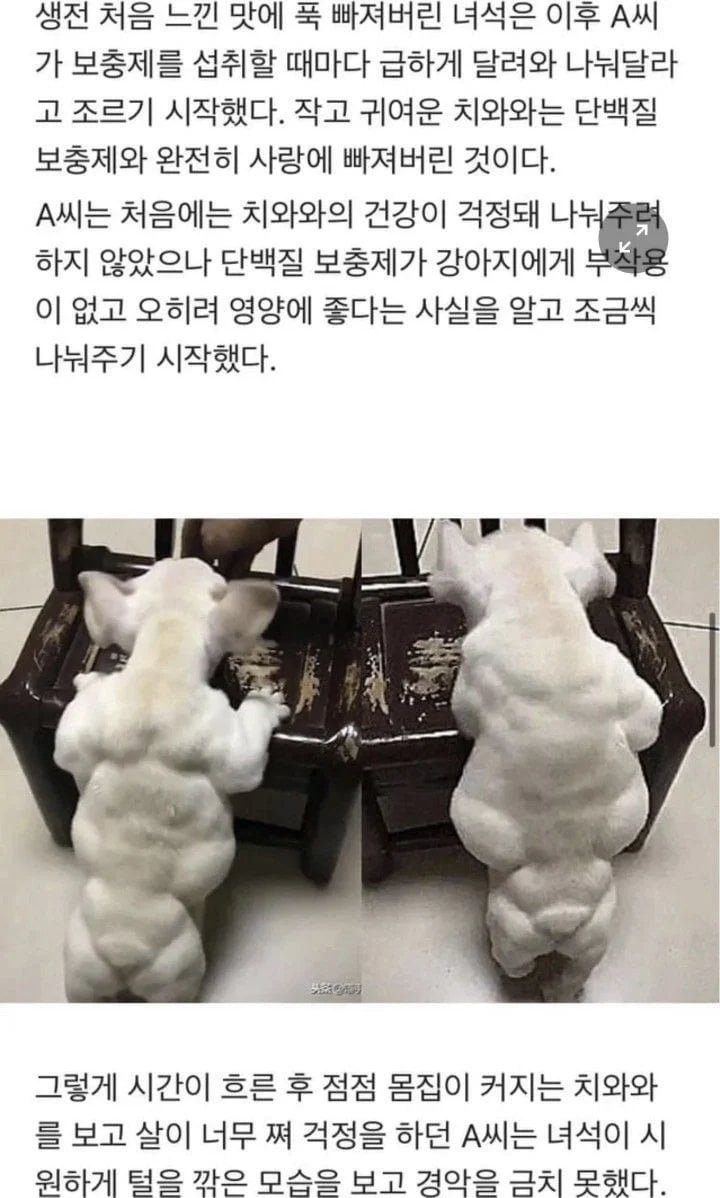 파워볼게임통계