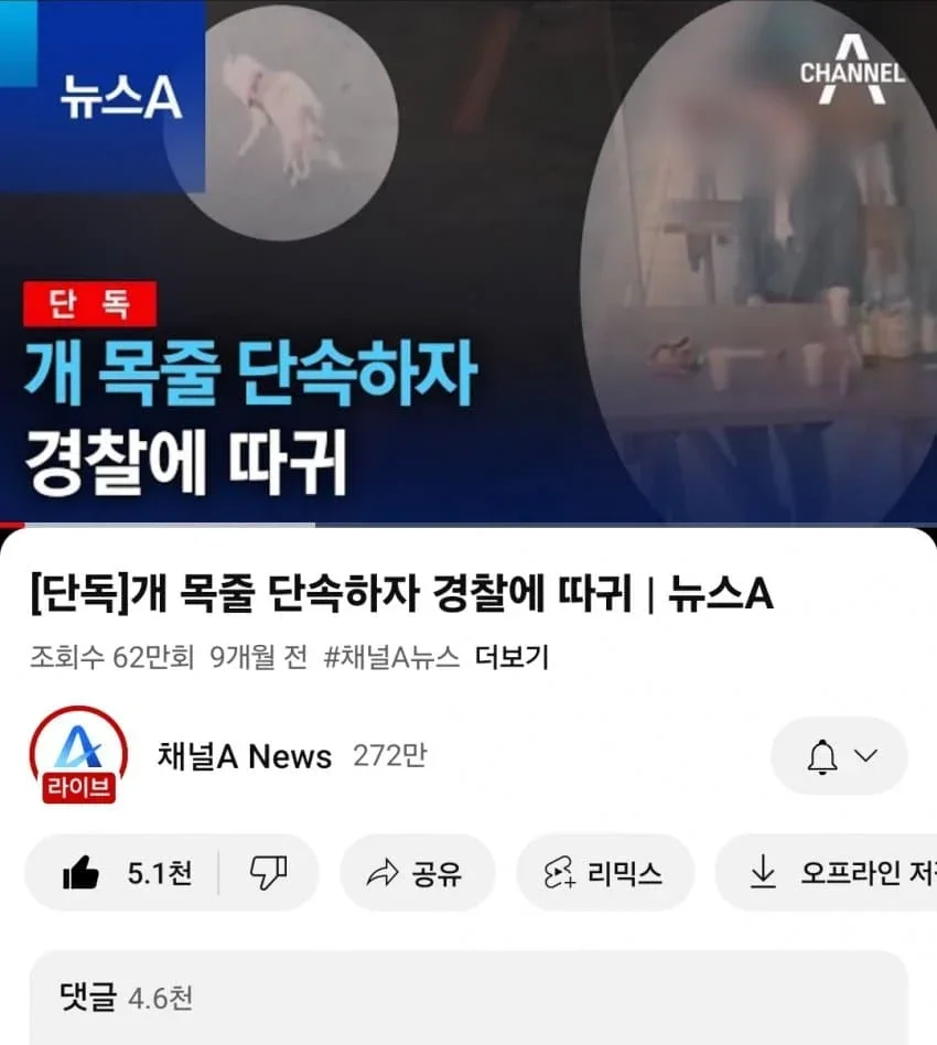 달팽이필승