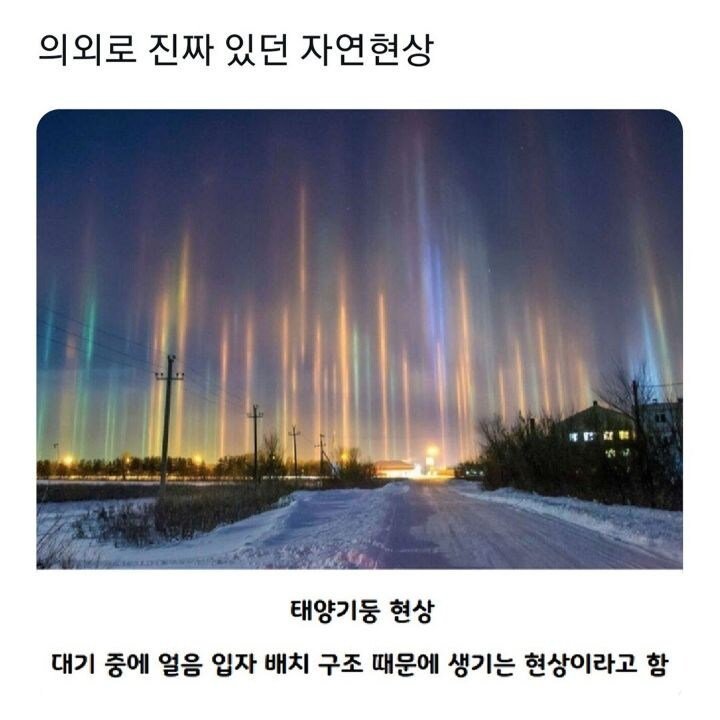 파워볼게임픽분석