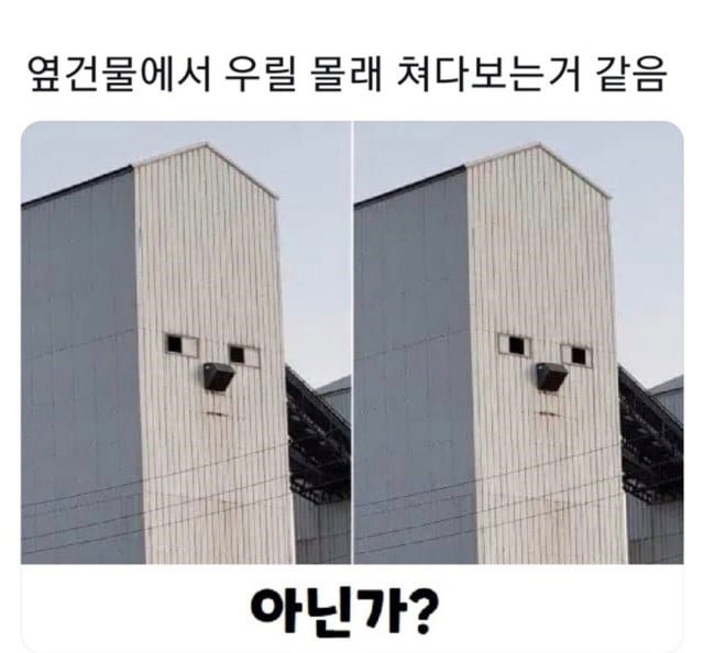 사다리 분석과 실시간패턴통계