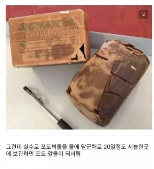 사다리 분석과 실시간패턴통계