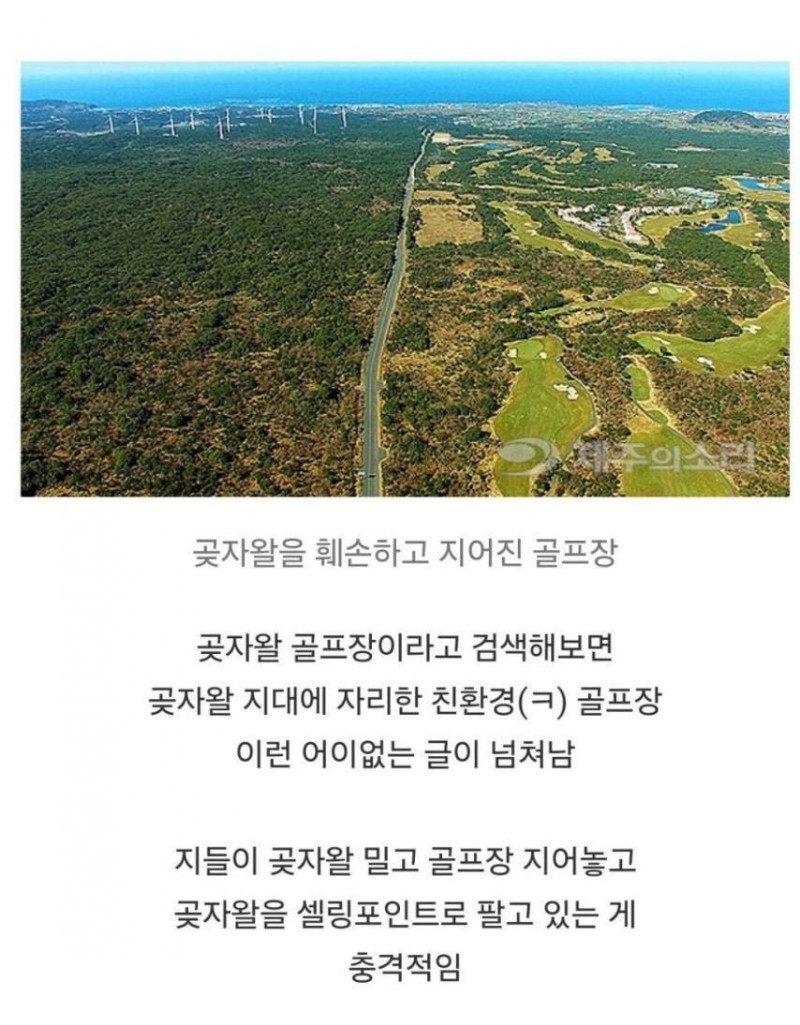 달팽이게임픽