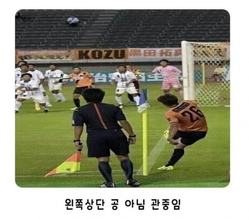 달팽이게임픽