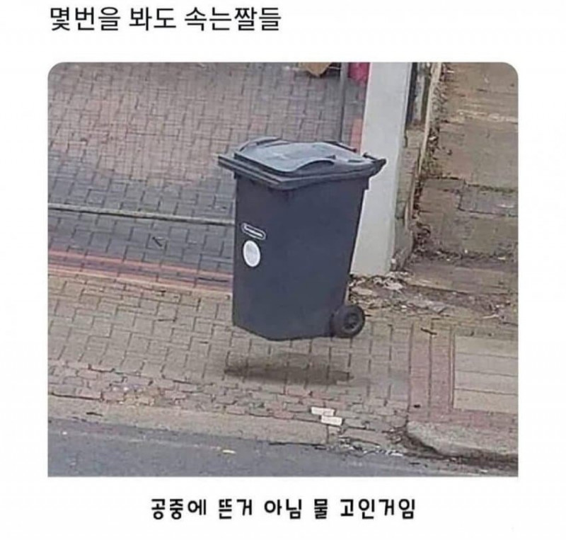 파워볼게임분석기