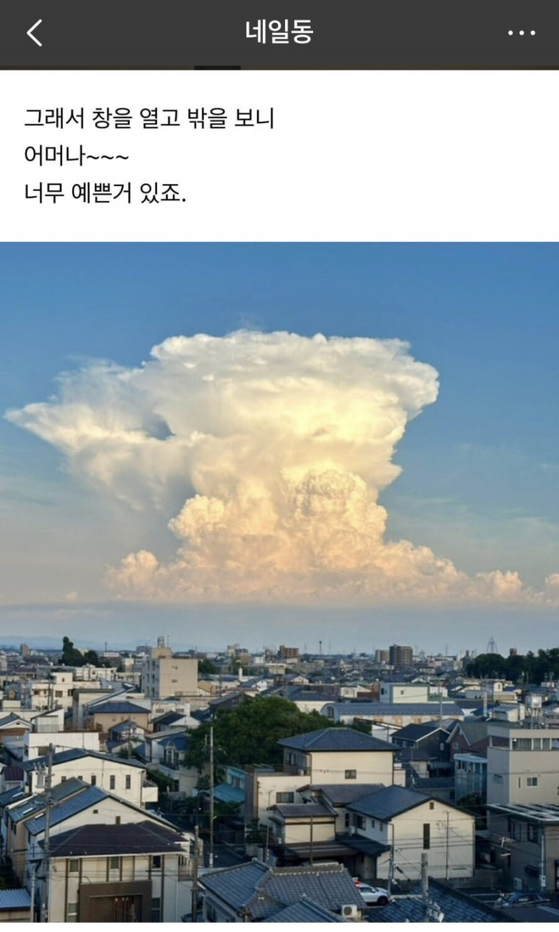 실시간달팽이