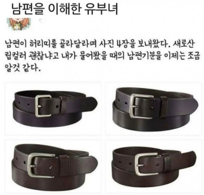 달팽이게임픽분석