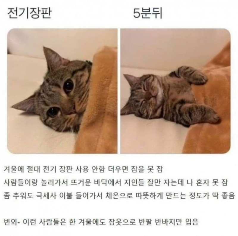 사다리게임