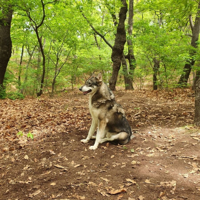 파워볼