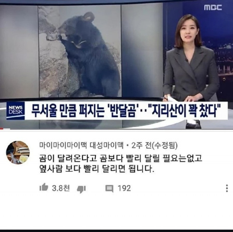 달팽이게임