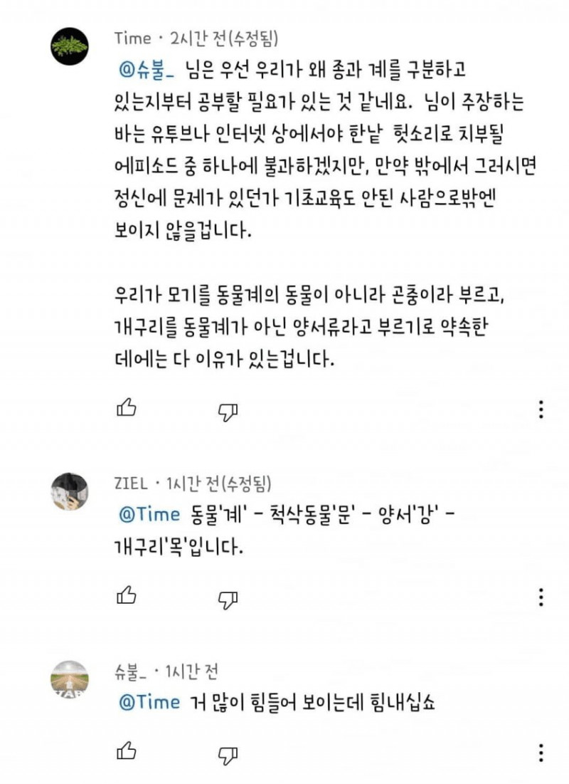 다리다리 분석과 실시간패턴통계